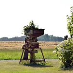 Kleine-schwalbe *
