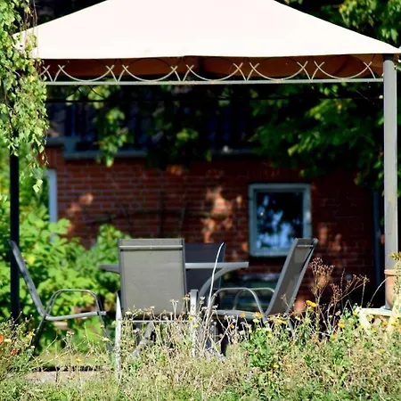 Kleine-schwalbe * Kabelhorst