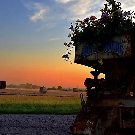 Kleine-schwalbe 아파트 *