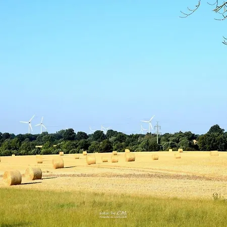 Kleine-schwalbe * Kabelhorst