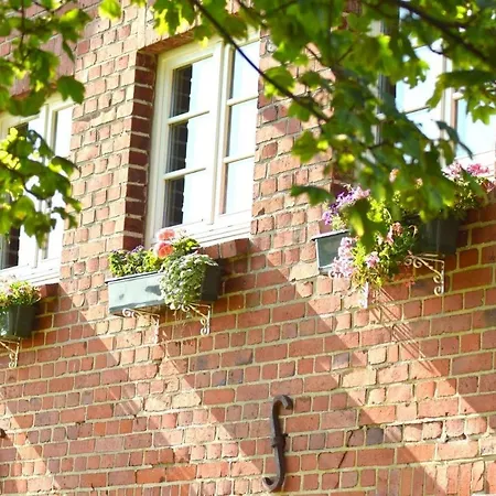 Kleine-schwalbe * Kabelhorst